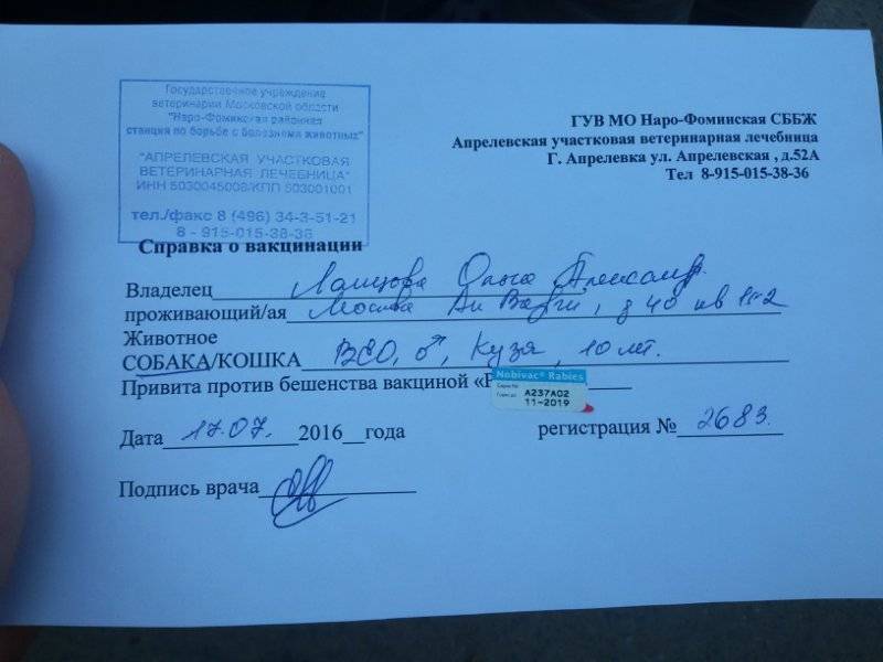 Купить медотвод от прививок с доставкой в Санкт-Петербурге